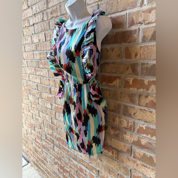 Ark & Co Multicolor Ruffle Dress - Picture 4 of 6